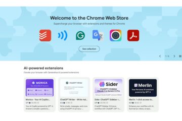 Chrome Store Extensions