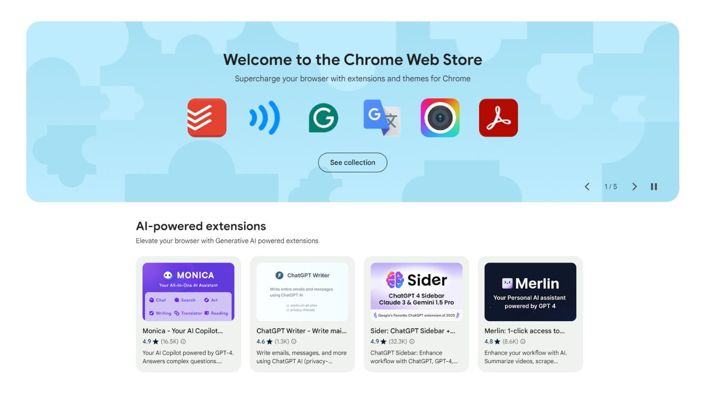 Chrome Store Extensions